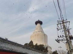 -金悦印象小馆(三里河店)