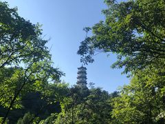 -娄山关景区
