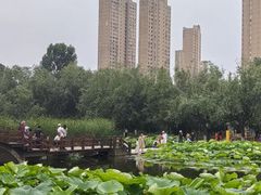 -前关湿地公园
