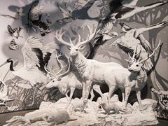 -中国湿地博物馆