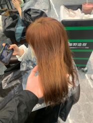 -藤野造型