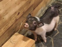 -Zoolung Zoolung动物主题公园(海信广场店)