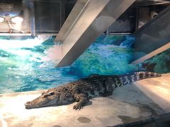 -成都浩海立方海洋公园