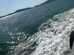 -桃花岛风景旅游区