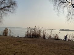 -漕湖湿地公园