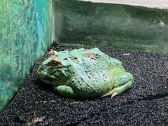 -上海大自然野生昆虫馆