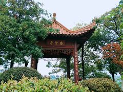 -江西科技学院