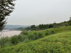 -金海湾滨江公园