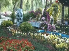 android_upload_pic-迎泽公园