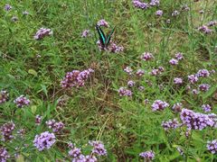 -雪浪山卡丁车俱乐部