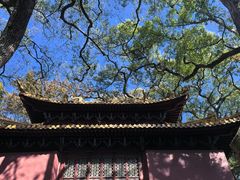 -普陀山风景名胜区-法雨禅寺