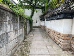 -金泽古镇