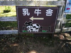 -神户市立六甲山牧场
