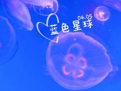 -沈阳海洋探索中心