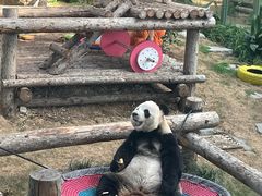 -大连森林动物园