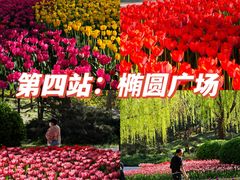 -朝阳公园