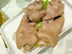 -丁老爷子苏香圆