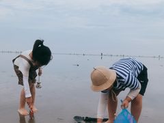 -奉贤海滩