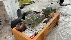 -敦南真爱月子会所(黄埔店)