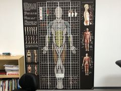 -康芭柯·国医传承工作室
