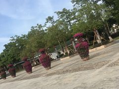 -梵天禅寺