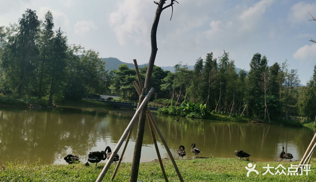温泉项目：老少皆宜，露天温泉，有红酒浴