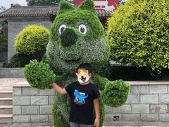 -阳台山自然风景区