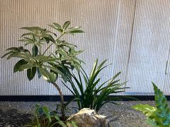 -奈雪茶院·茶室茶馆(广州粤海天地店)