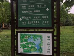 -紫薇公园