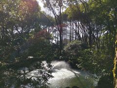 -上海醉白池公园