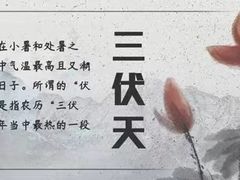-裕和堂中医推拿艾灸(太古汇臻品店)