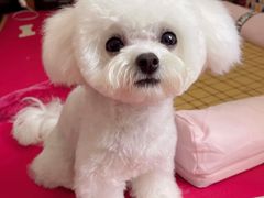 -FAELING PETS美天灵宠物(富力广场店)