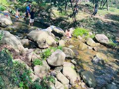 -武汉姚家山旅游景区