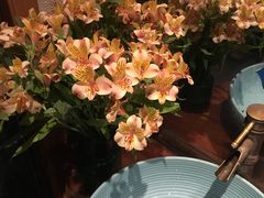 -春暖花开(西溪店)
