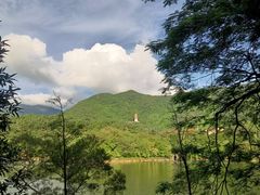 -深圳仙湖植物园