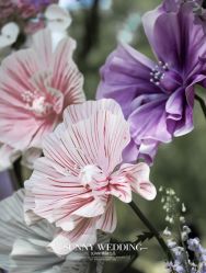 -Sunny喜铺婚礼策划(东部店)