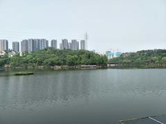 -重庆彩云湖湿地公园