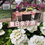 ☀️夏日打卡桌爱房车小镇