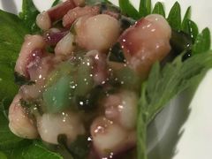 芥末章鱼-大渔铁板烧(大悦城店)