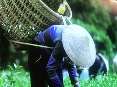 -湘邻呷铺·田园家宴(汉基广场店)