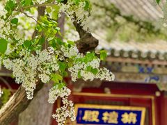 -潭柘寺景区