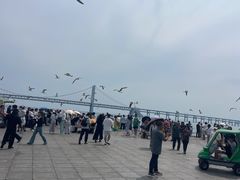 -星海广场