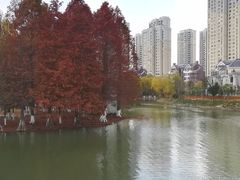 -白塘生态植物园