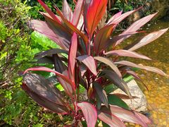 -河源万绿湖美思威尔顿酒店