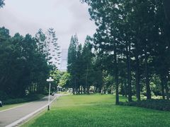 -人民公园(罗湖区)