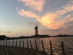 -溱湖国家湿地公园