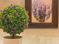 -魏家凉皮(博水商务大厦店)