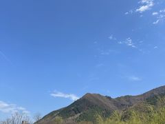 -若水农家乐