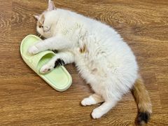 -牛一嘴·兰州牛肉面·大盘鸡(财富中心店)