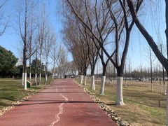 -滨湖塘西河公园